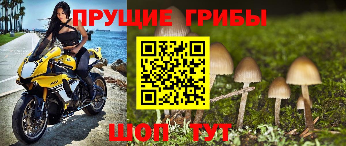 Псилоцибиновые грибы Cubensis  закладки  Конаково  Вход с VPN 